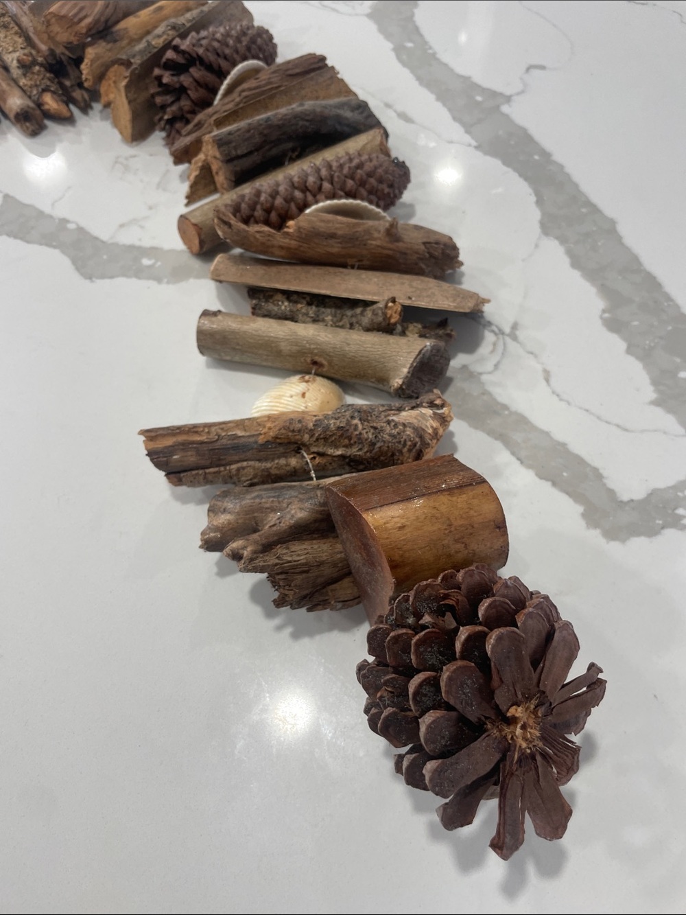 Wood and Shell strand - Picture 4 of 8